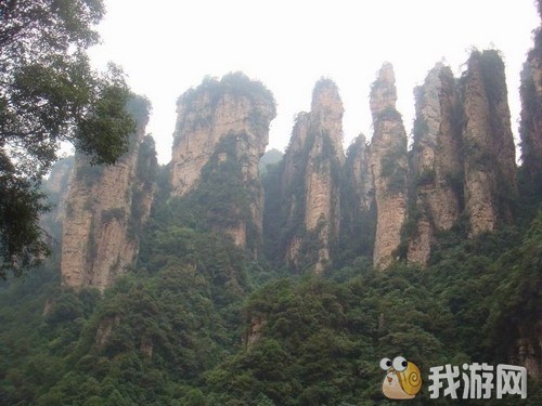复件 1 - 副本.gif