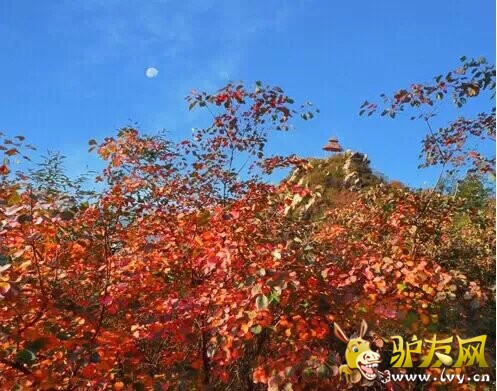 中原小香山